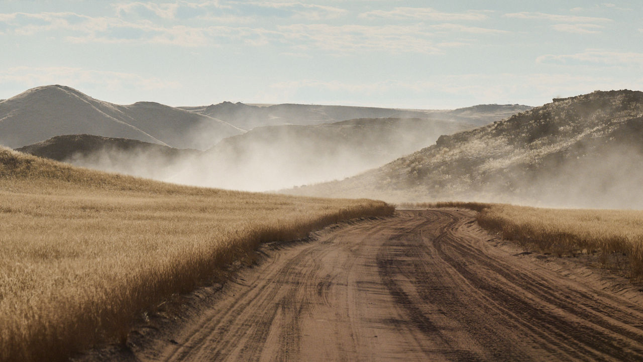 Dry Grasslands and Hills