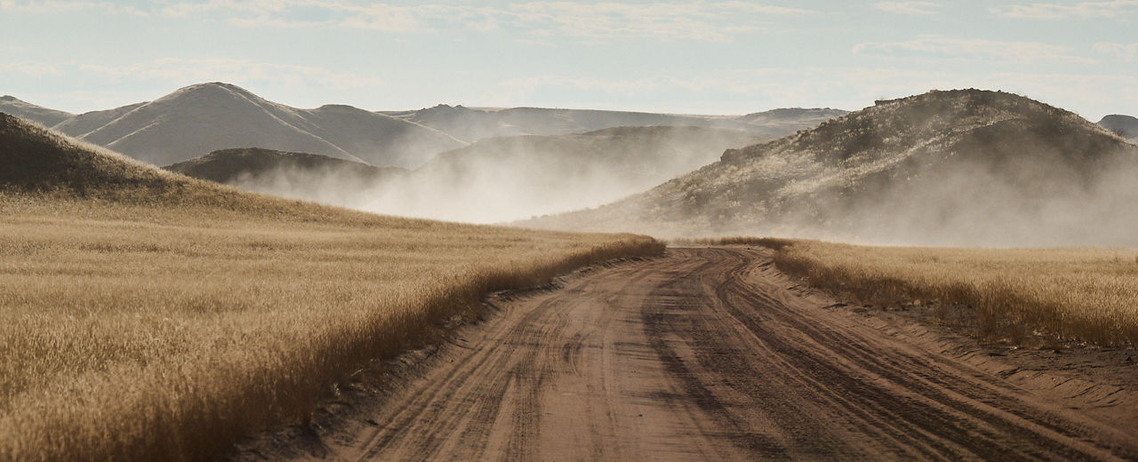 Dry Grasslands and Hills