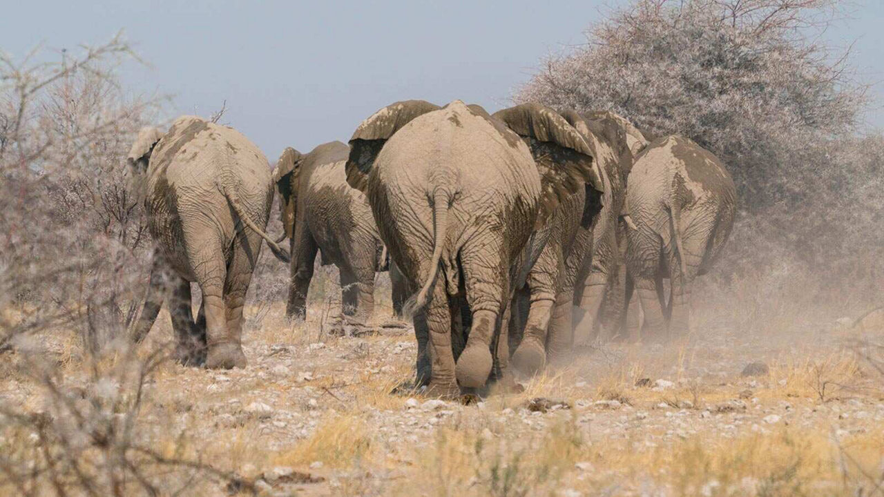 VOYAGE D’AVENTURE EN NAMIBIE