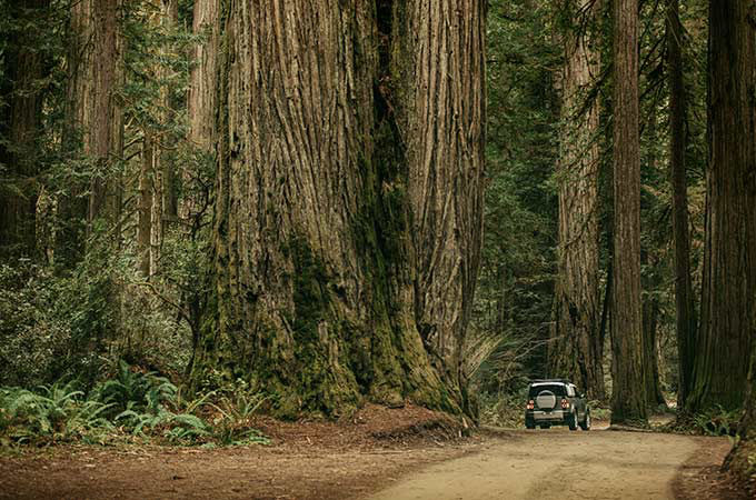 Range Rover JOHN MAYER GOES OUTSIDE