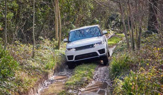 Range Rover driving on a forest road