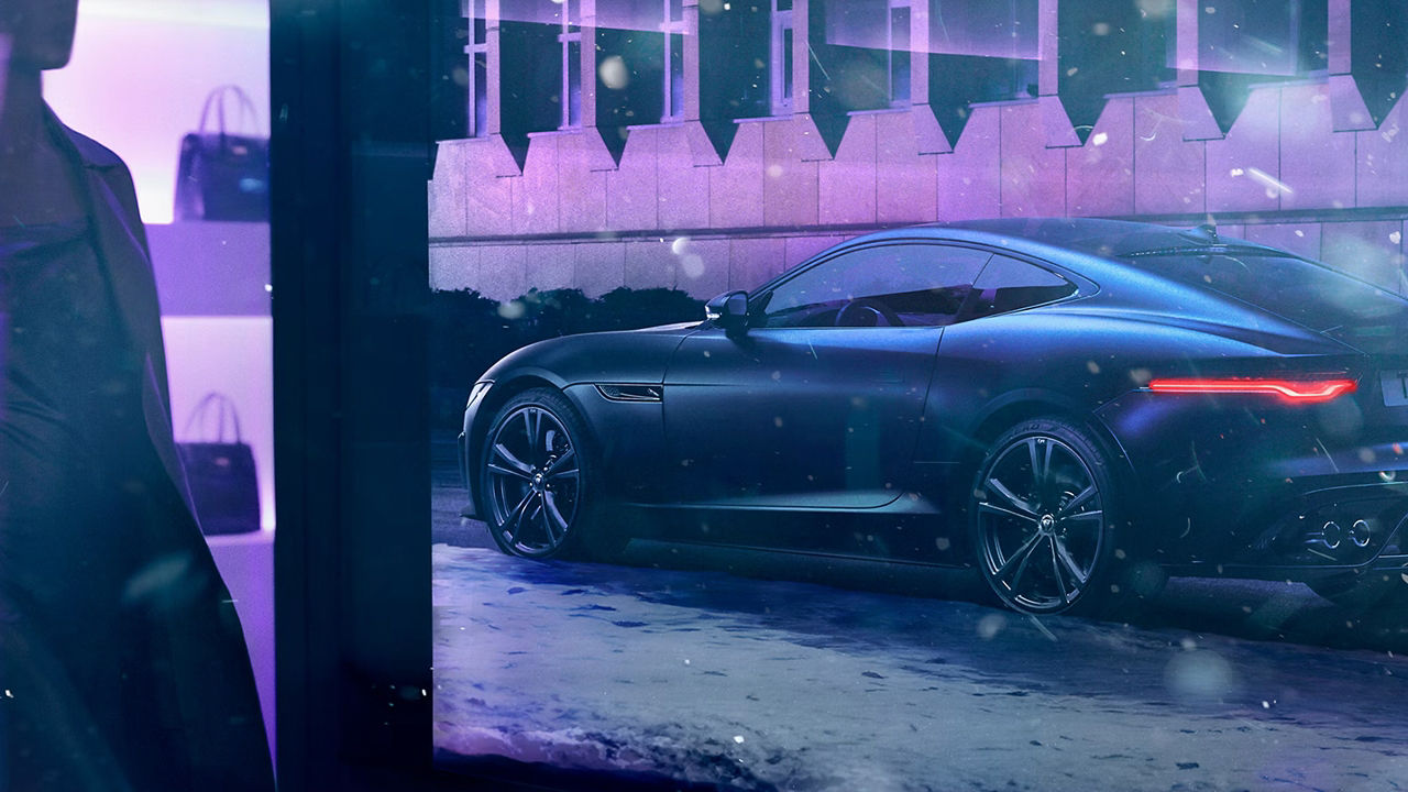 winter view of jaguar