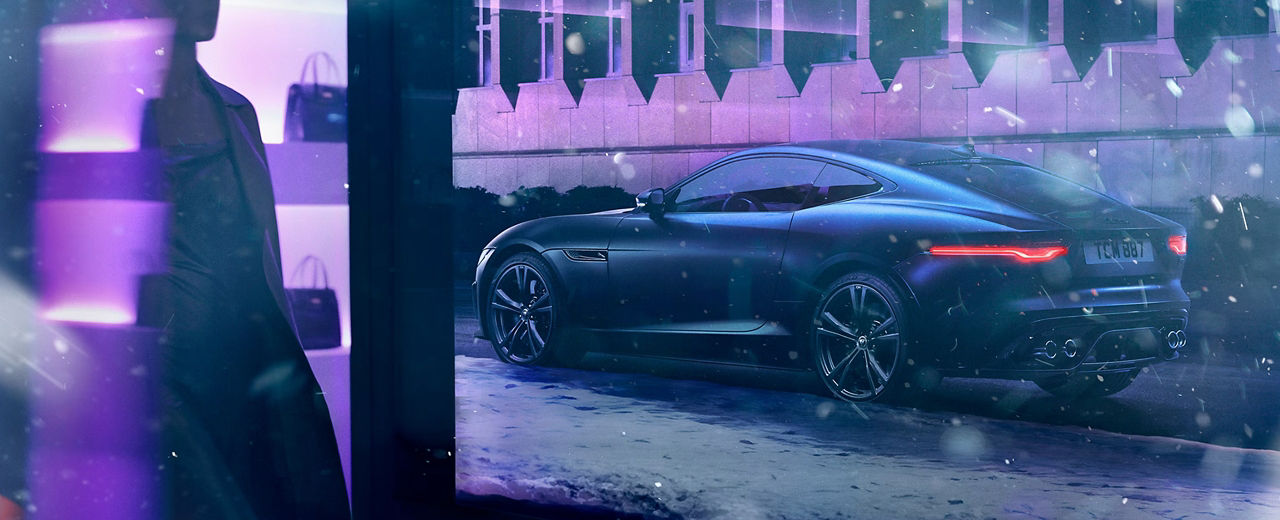 winter view of jaguar