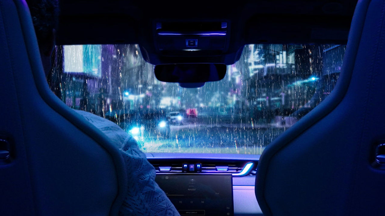 Inside view from jaguar