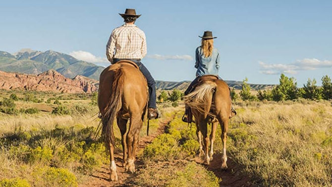 people enjoying ride with horses