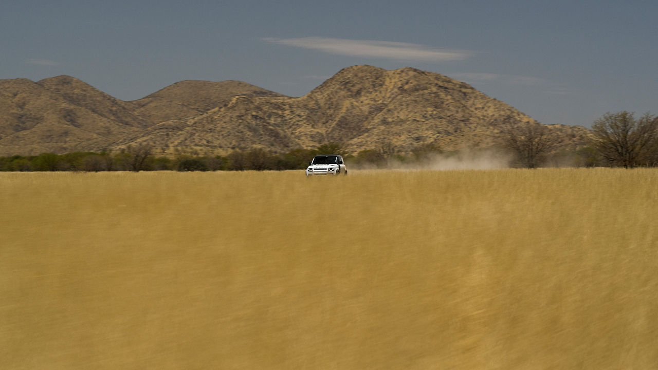 Defender in Dry Grasslands