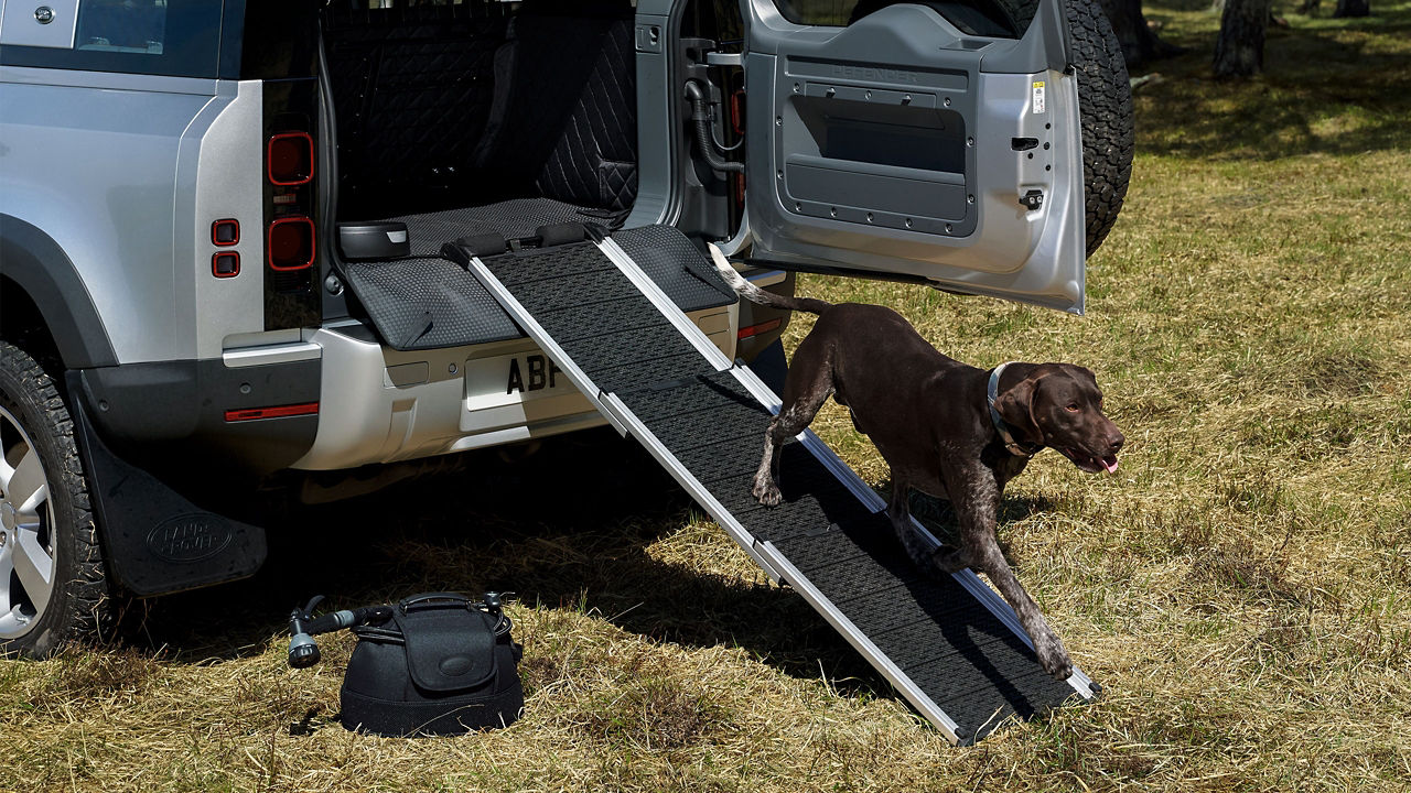 PET-ACCESSORIES