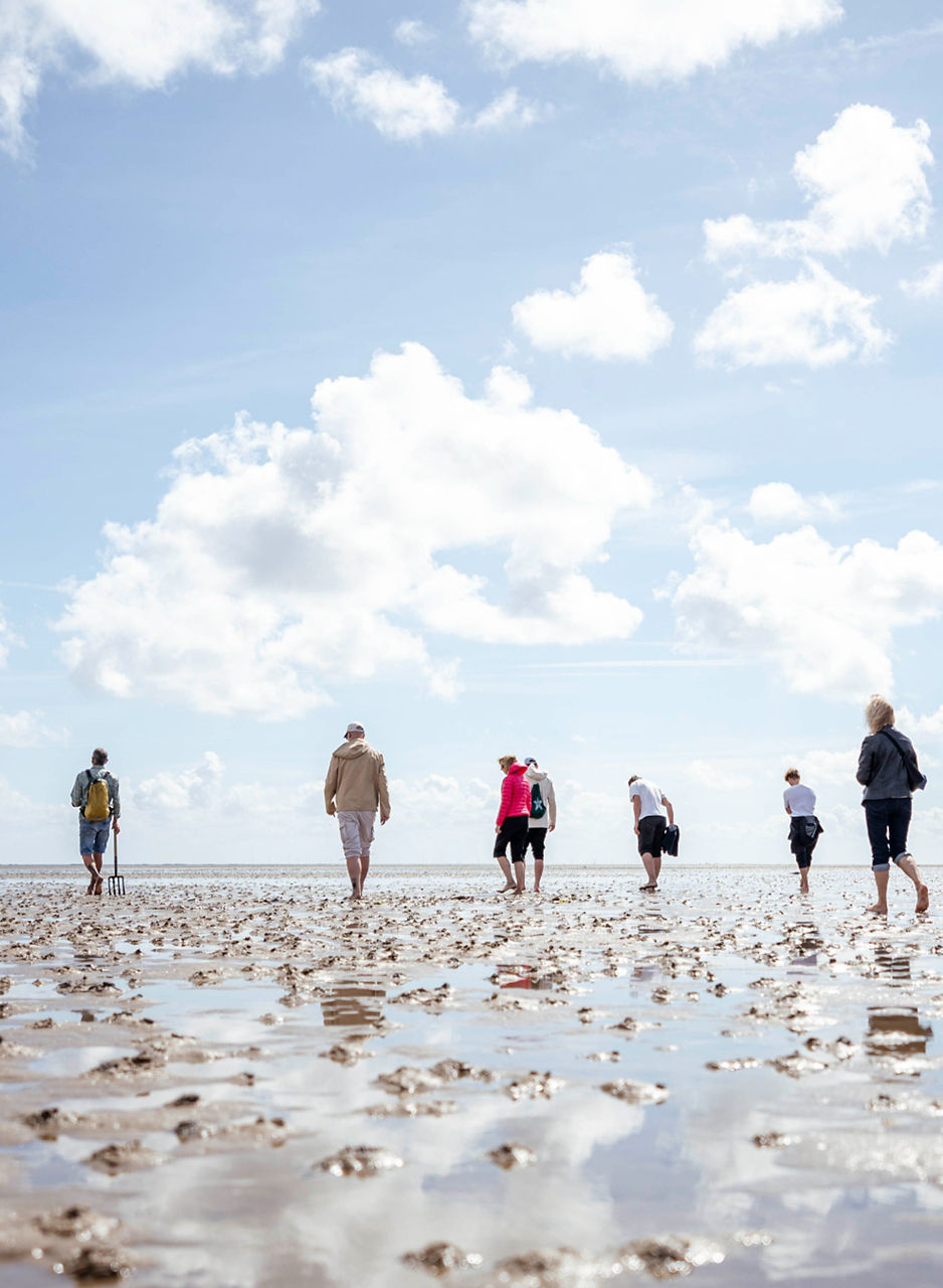 people walking along the seashore