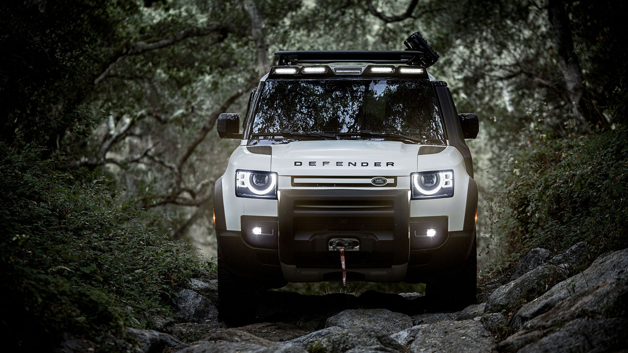 Defender 110 in Nature