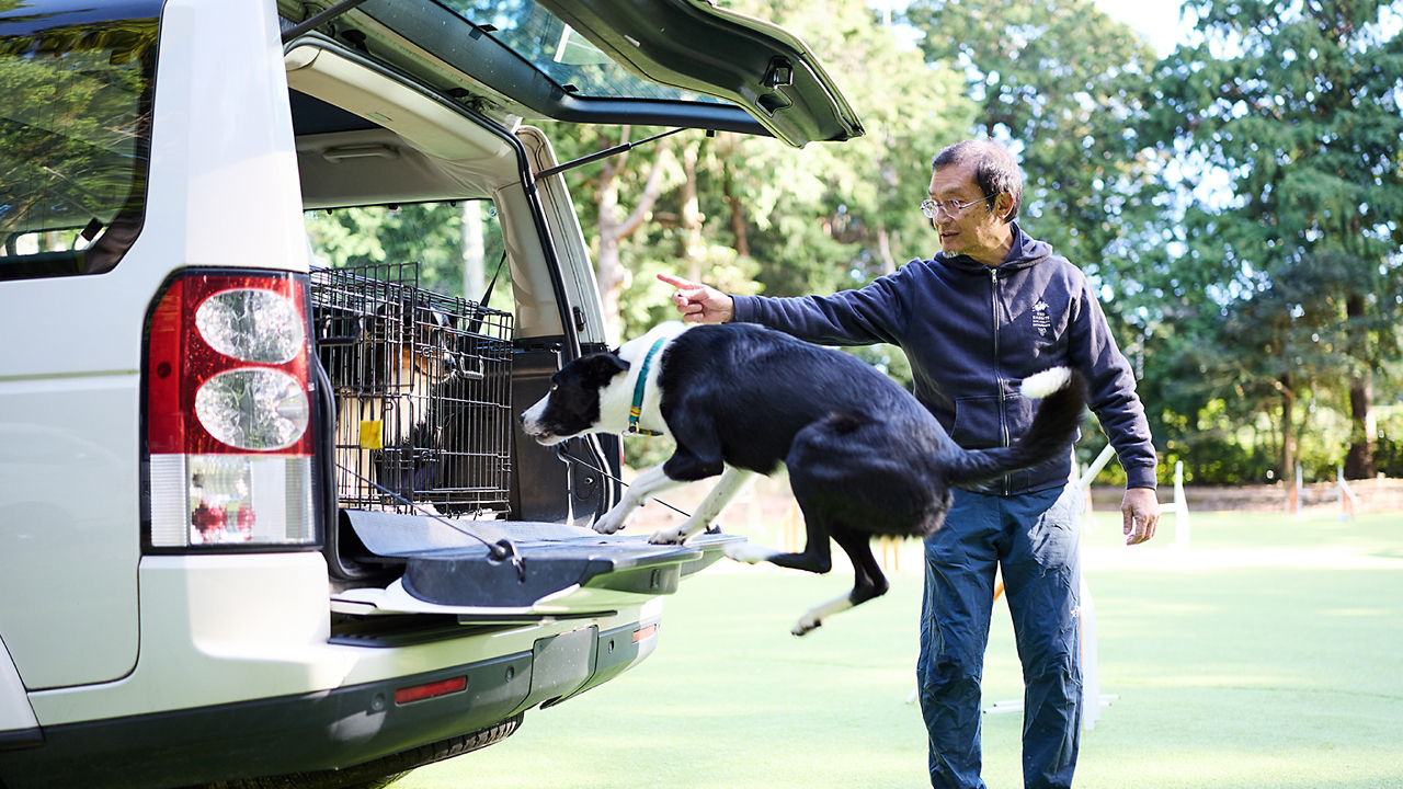 Discovery with Dog