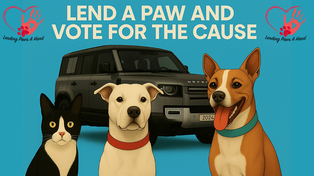 Dogs
