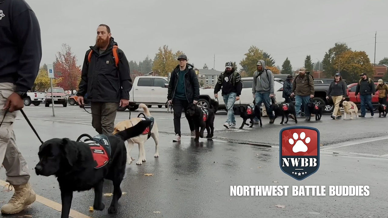 Dog with mens in que