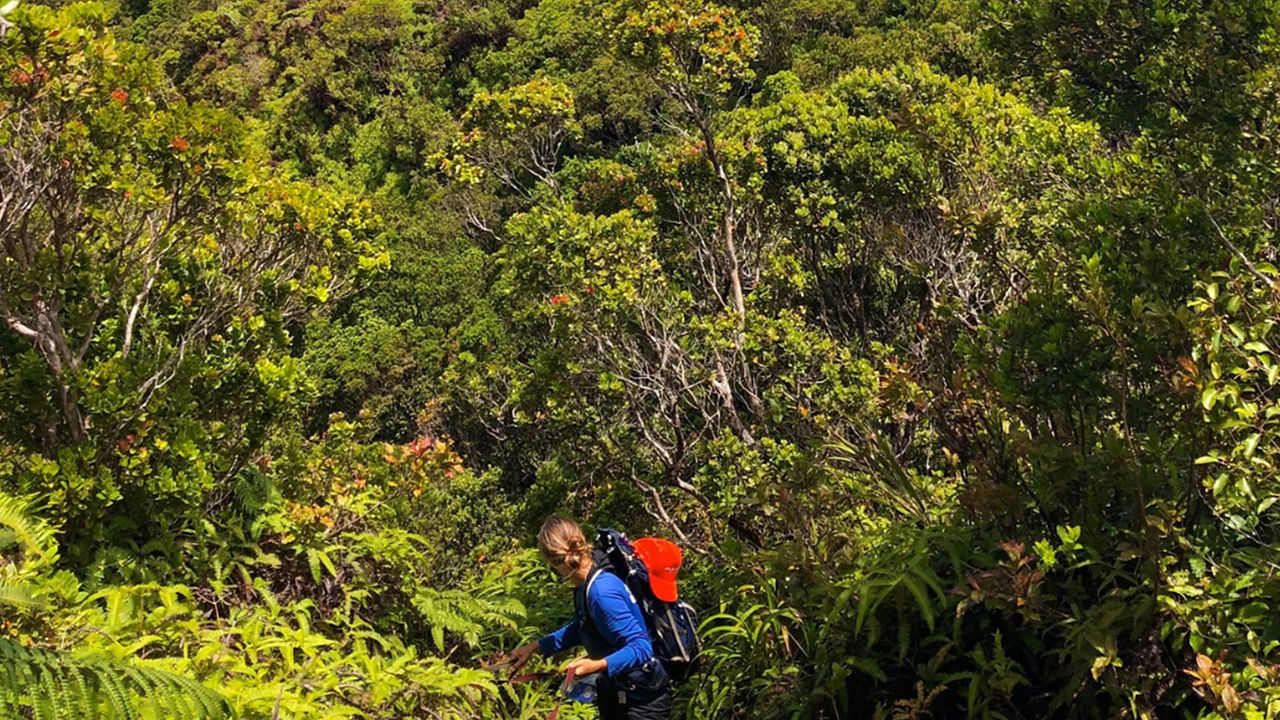 Environmental_KUPU