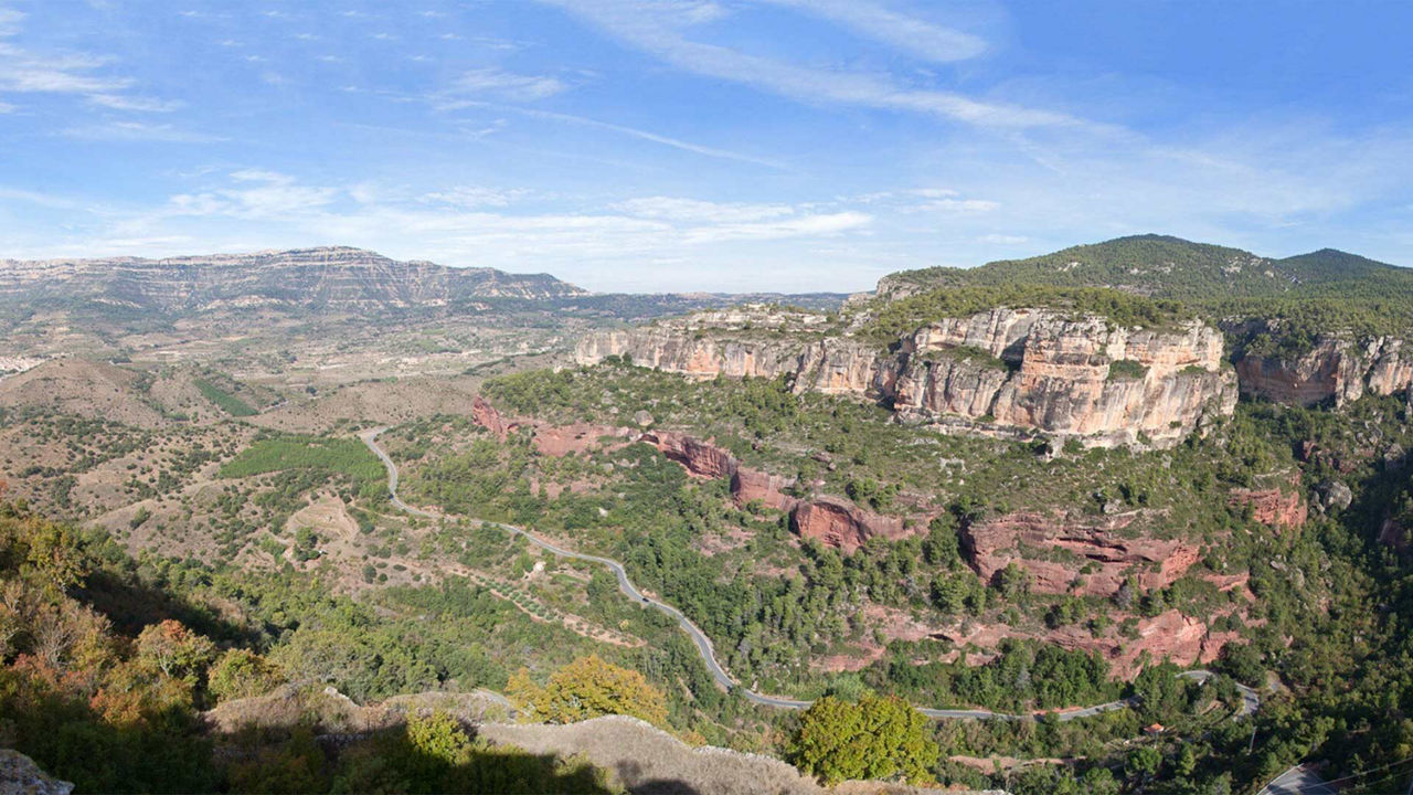 Mountainous grasslands