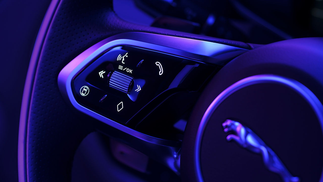 Close-up steering wheel F-PACE