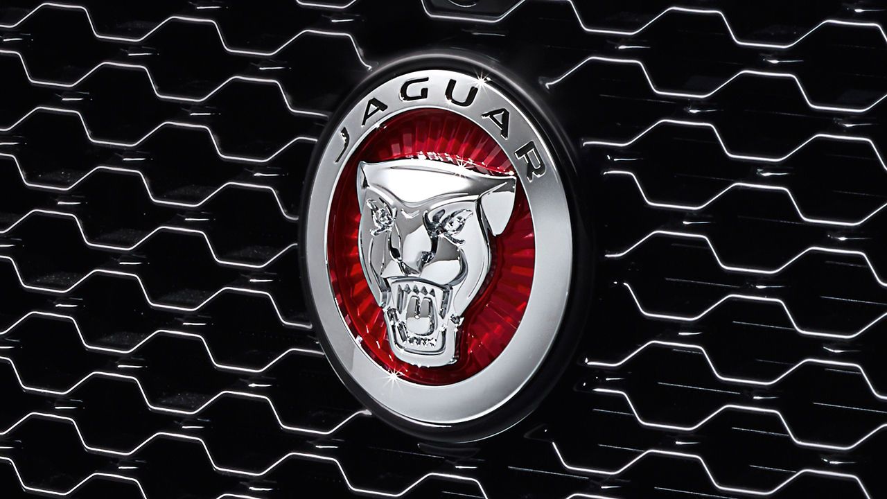 Jaguar F-PACE  Close view  of Grill