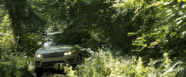 Driving through dense vegetation