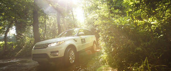 Driving through dense vegetation