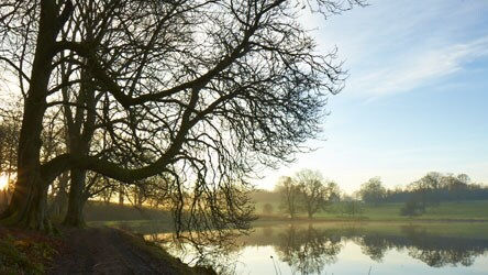 Lake Landscape