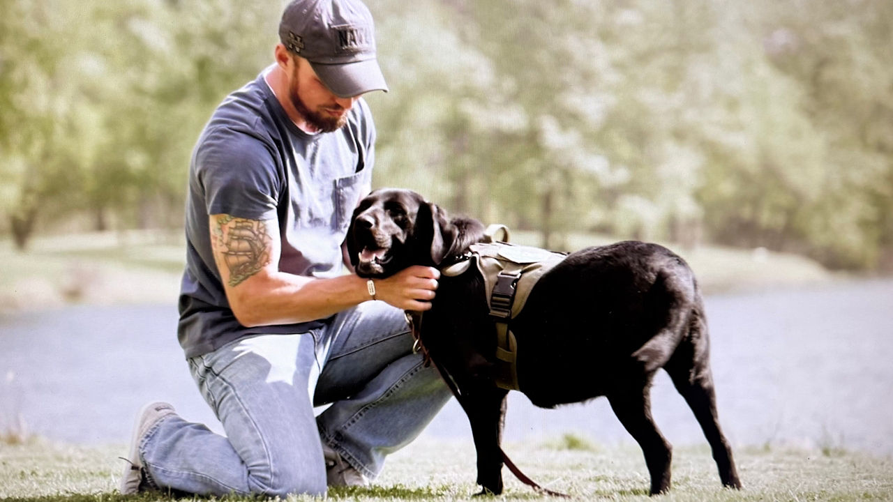 Support Dogs