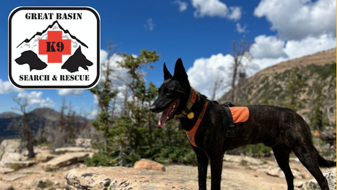 Great Basin K-9 SAR