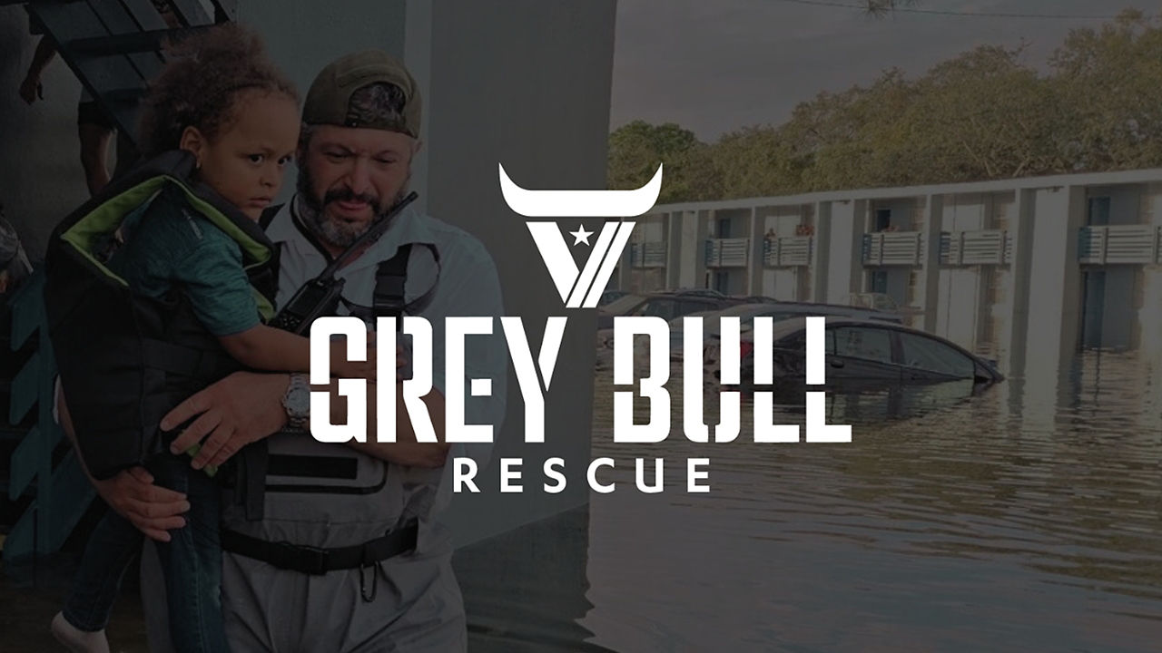 Grey Bull Rescue