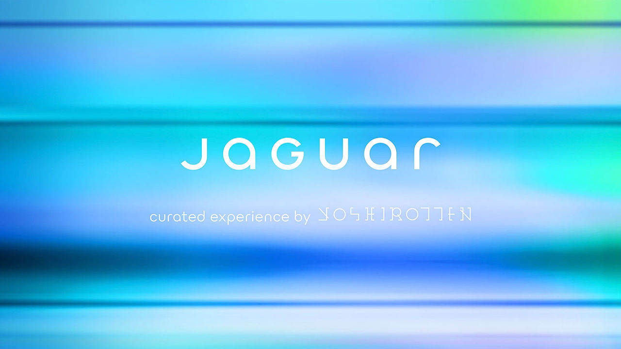 Jaguar Yoshirotten