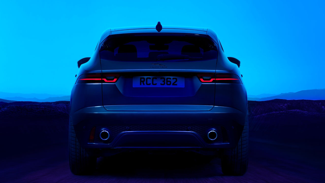 Jaguar Back View