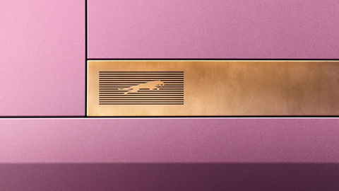 Future Jaguar Symbol