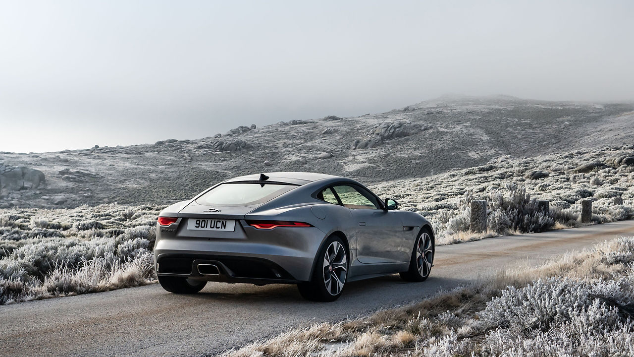 FTYPE driving in forest off road