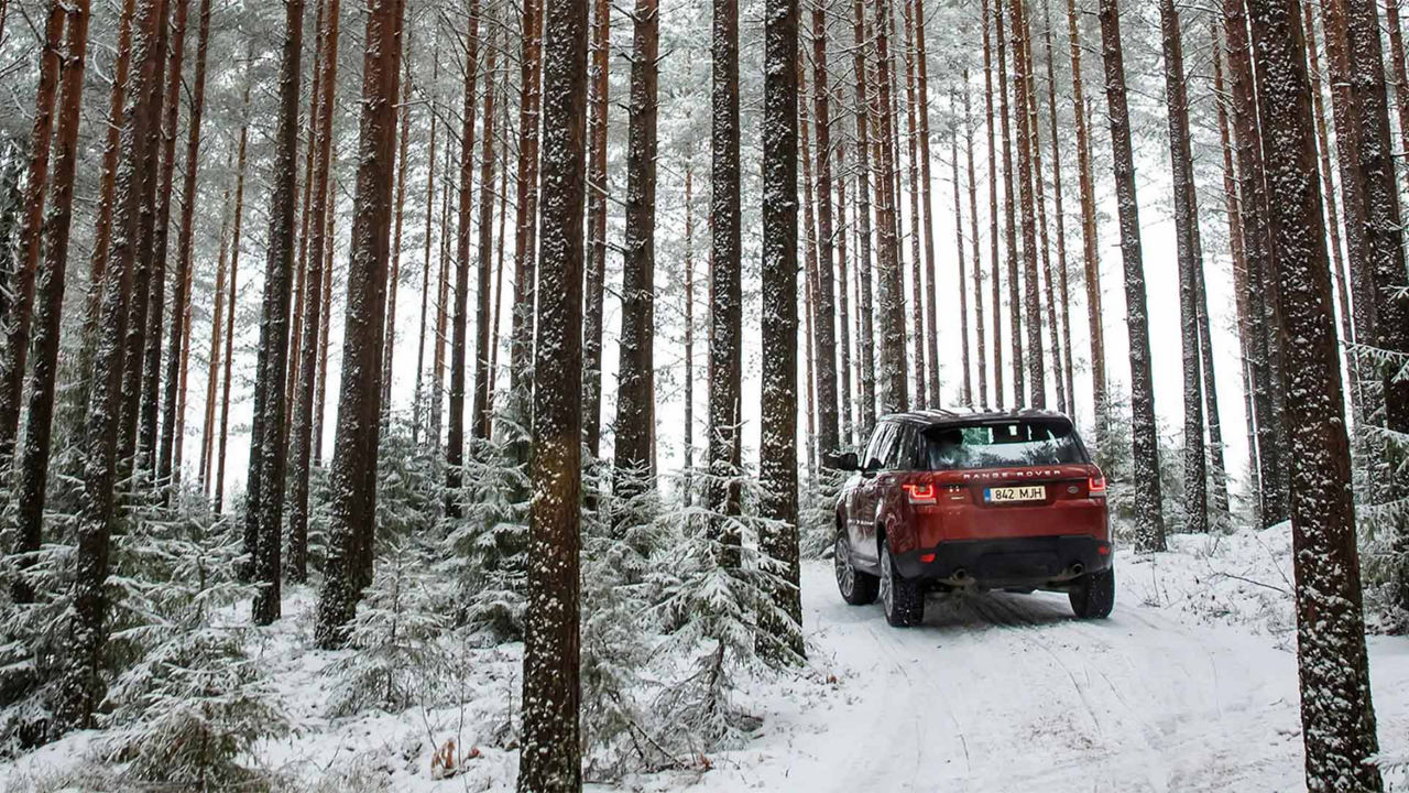 Range Rover vehicle driving through snowy woods