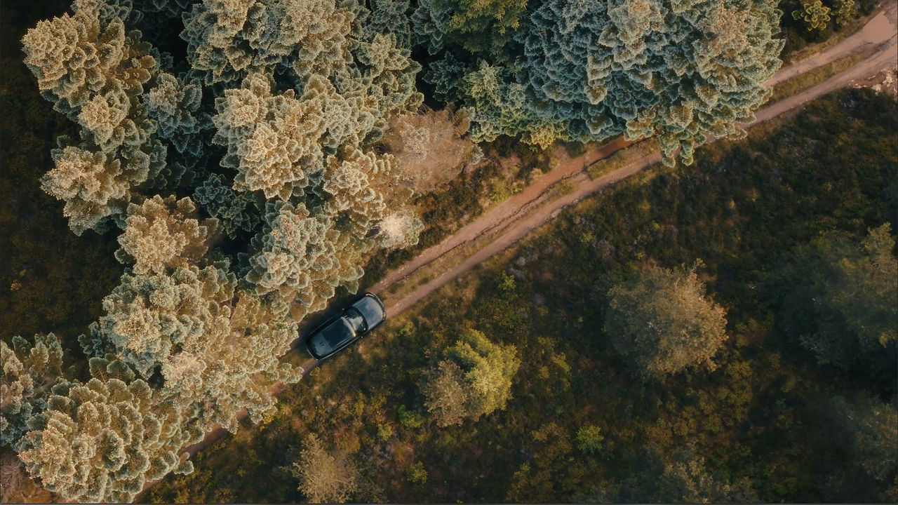 Aerial view of a black Range Rover driving through a forest trail surrounded by colorful trees.