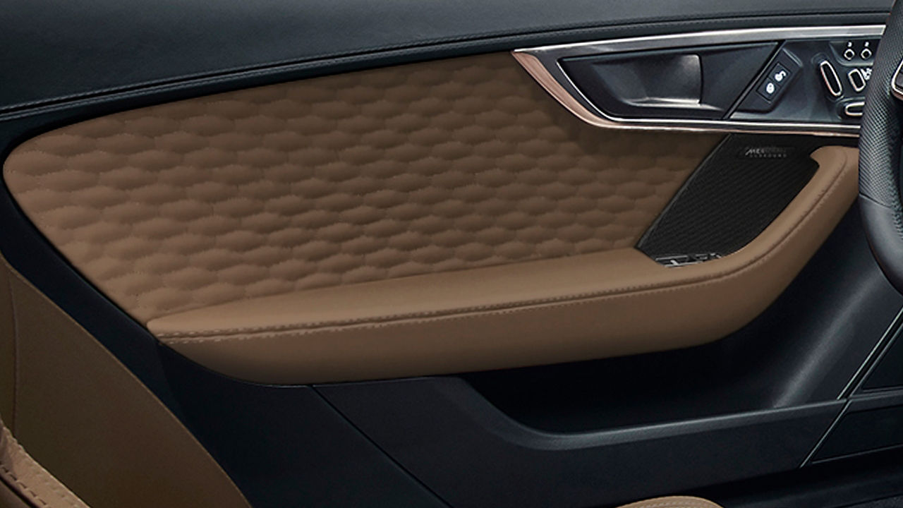 Jaguar F-Type car door Handle interior and controllers