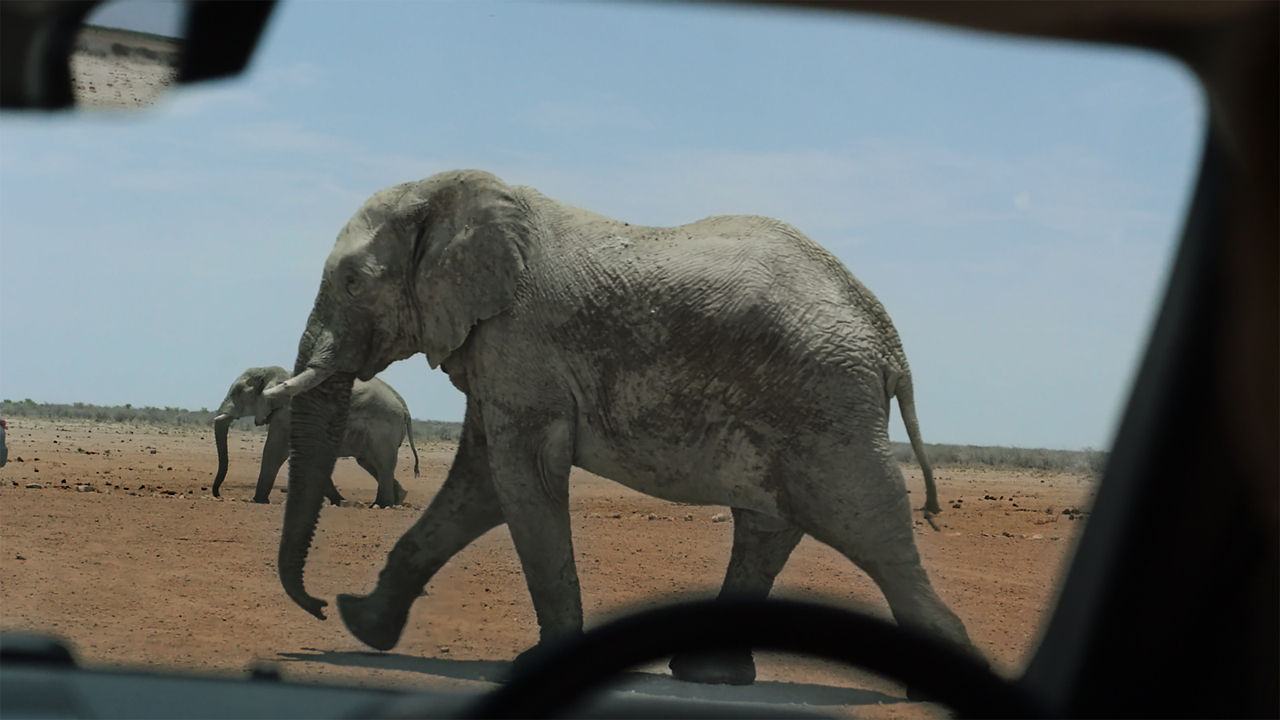 Defender In Off Road