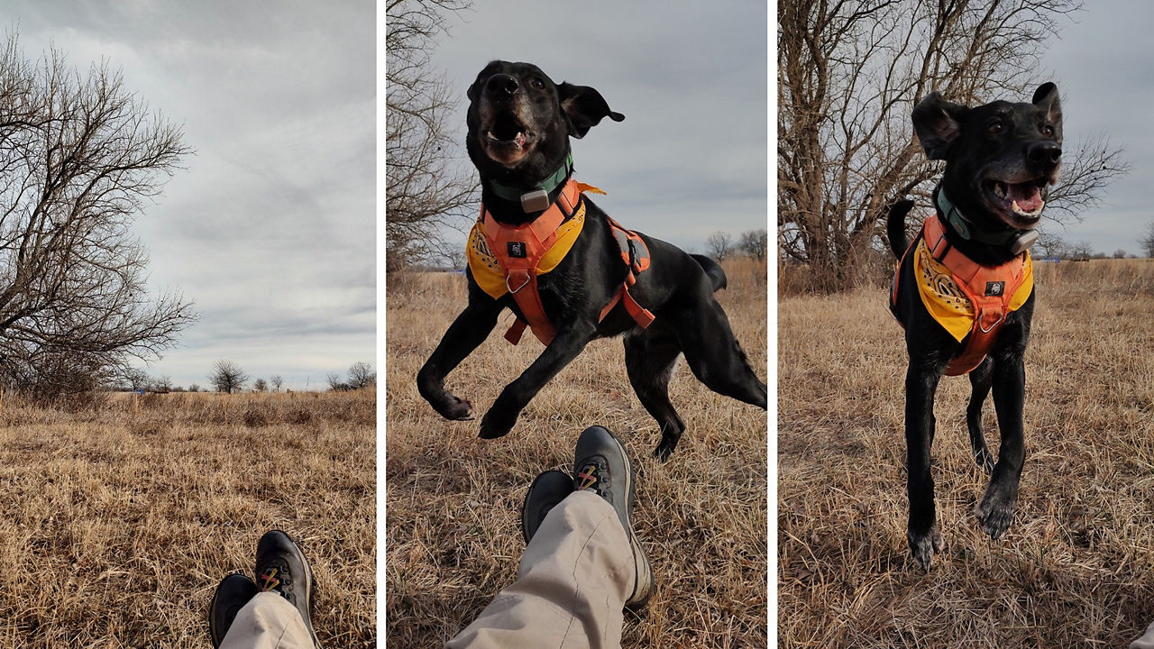 Search and Rescue