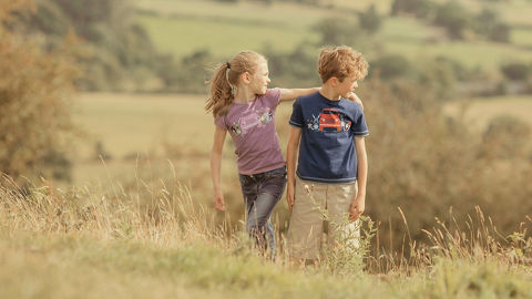 DISCOVER THE COLLECTION