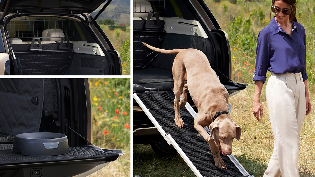 Range Rover Montage