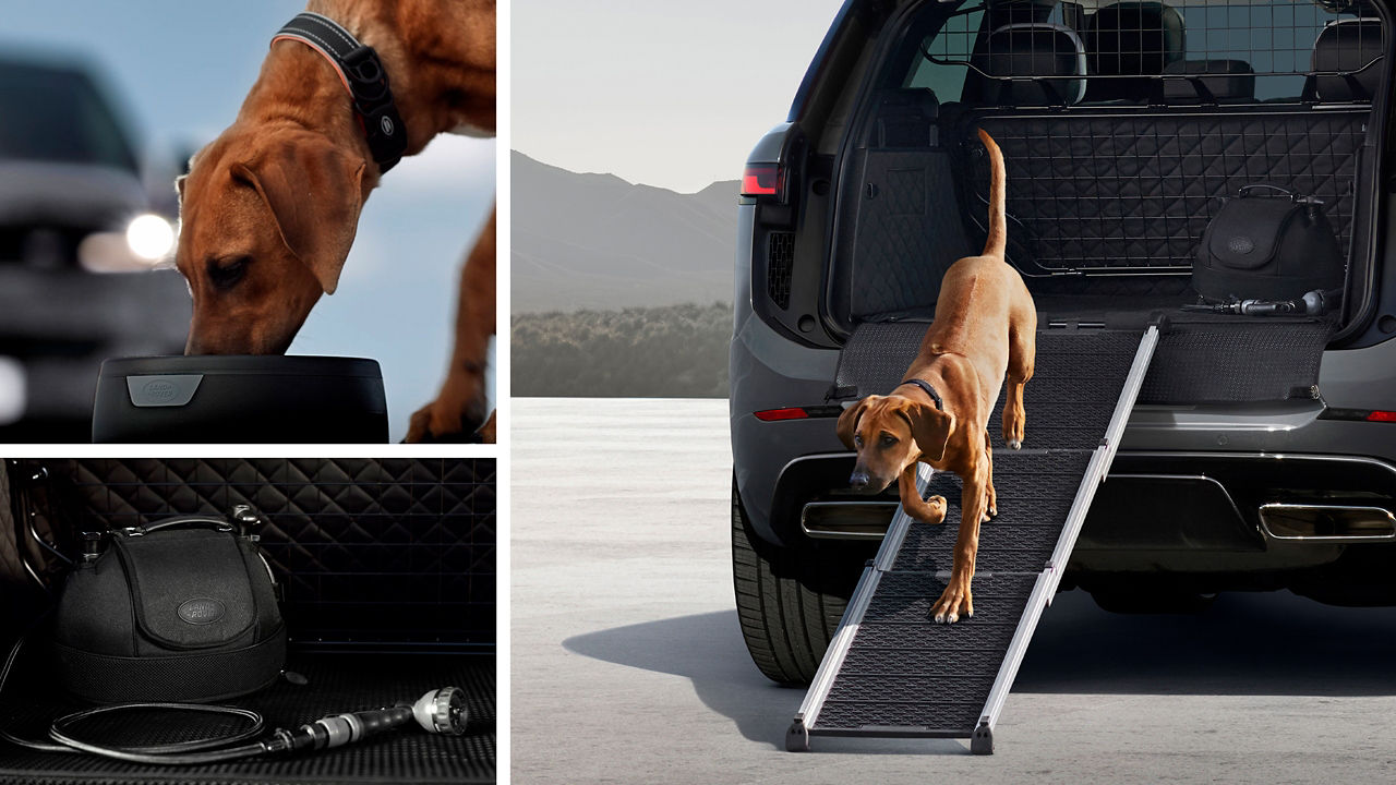 Height Partition, Pet Access Ramp and Portable Rinse System.