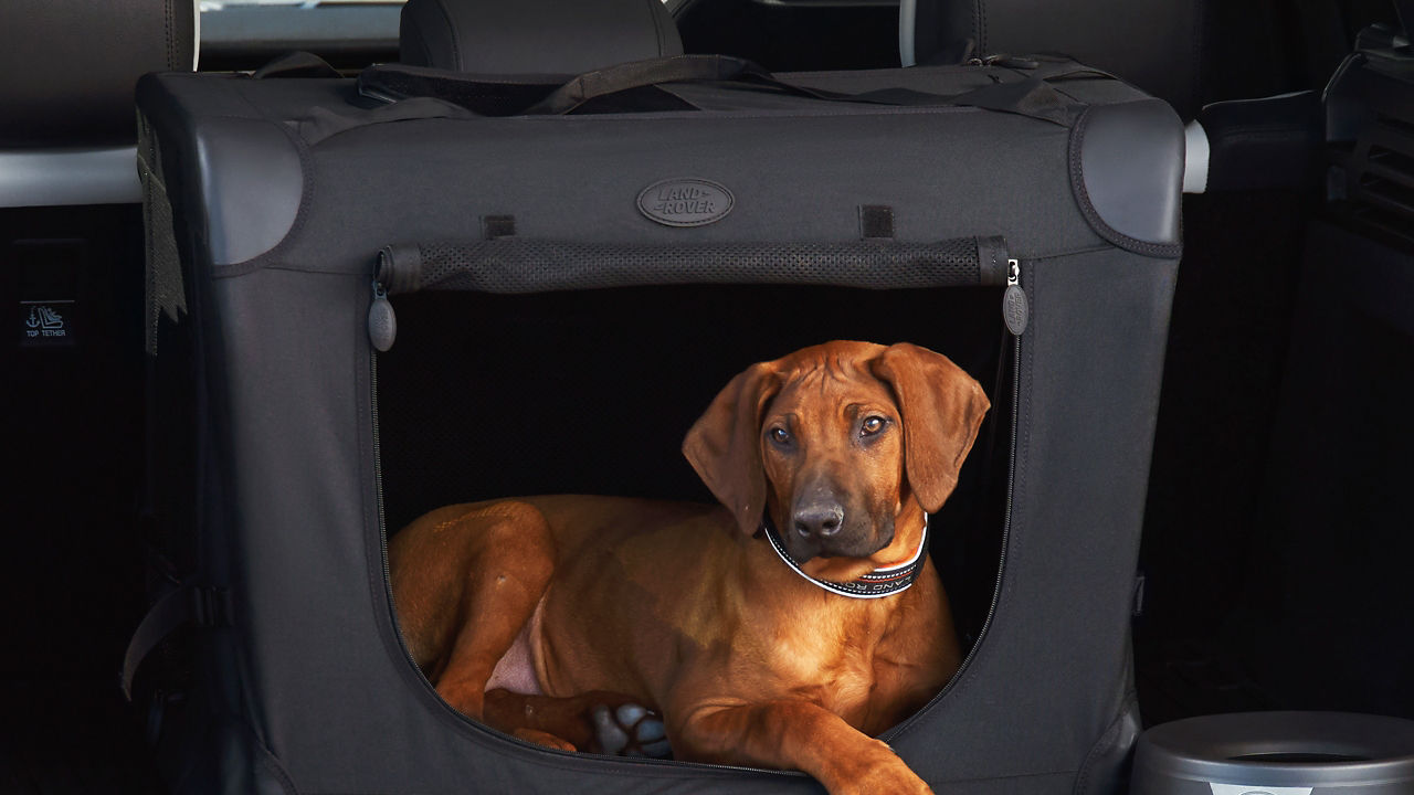 Folding Travel Crates For Dogs