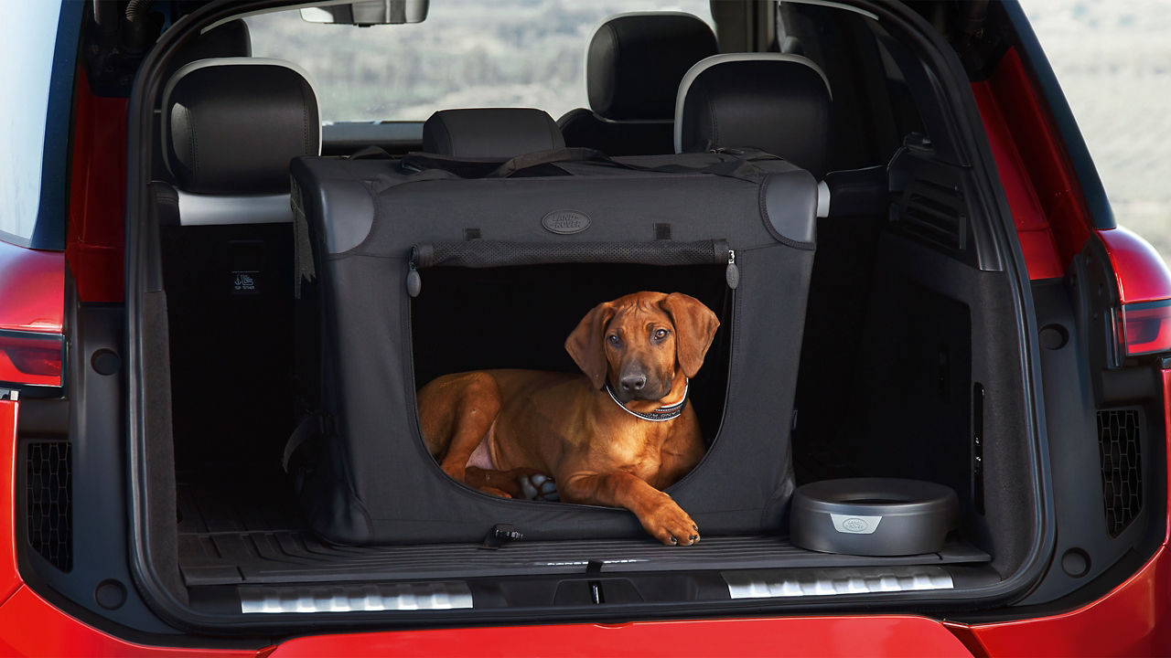 Folding Travel Crates For Dog