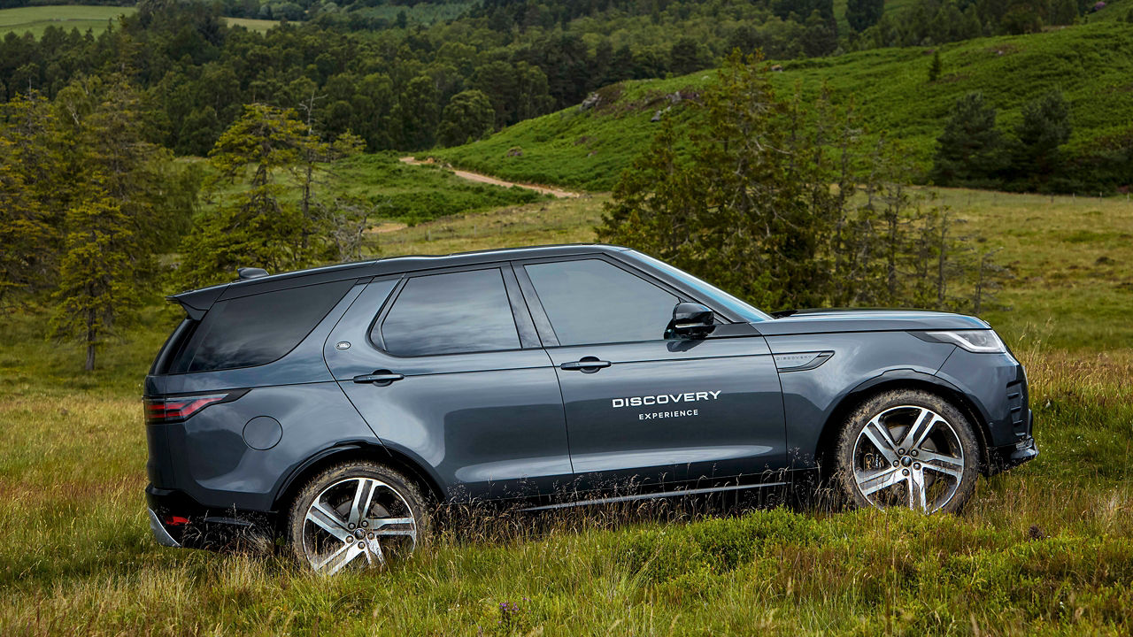 Discovery climbing on a grassy terrain.