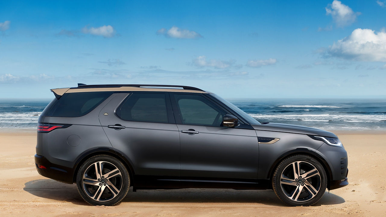 Discovery on the beach