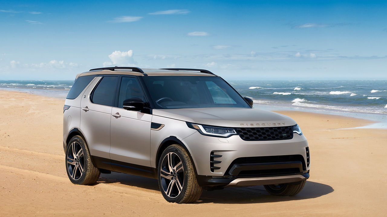 Discovery on beach