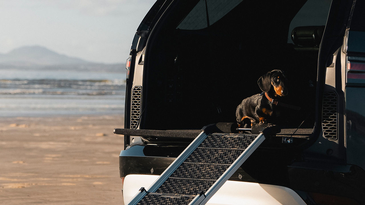 Pet climber with pet in back seat of Discovery 