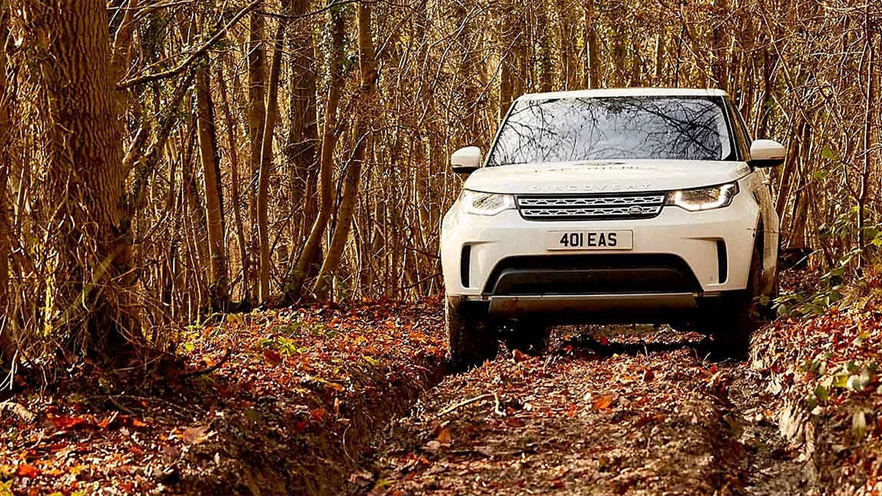 Discovery driving on in forest