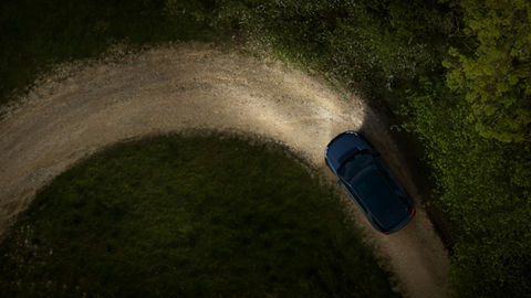 Car driving in forest off road