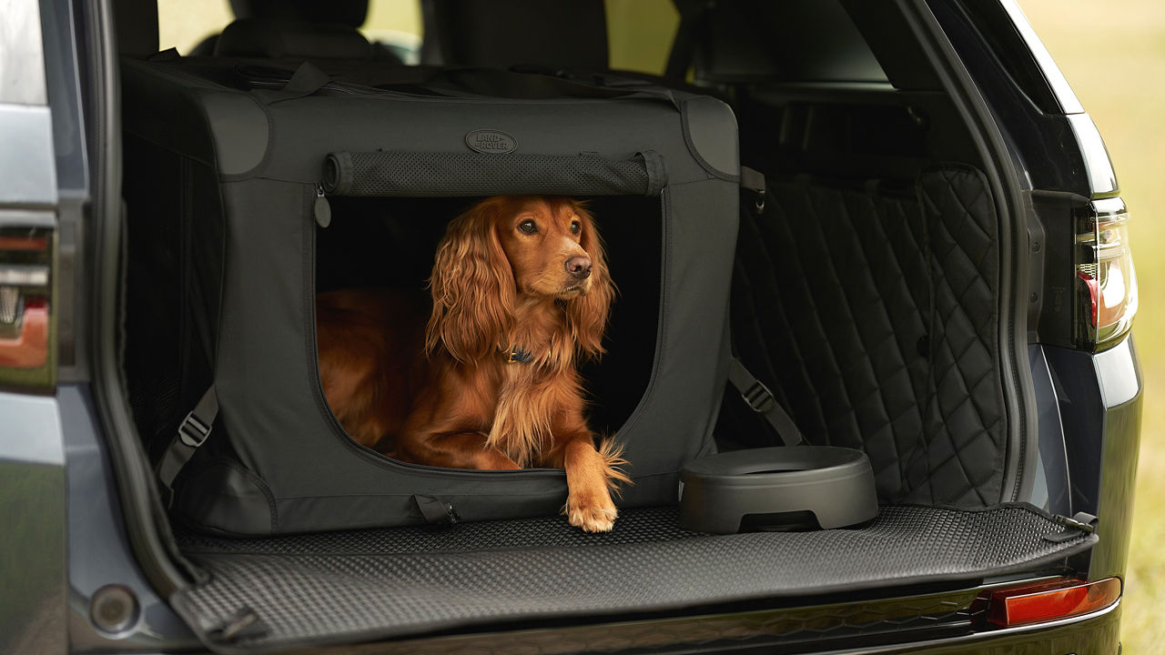 Pet Storage space in Discovery Sport