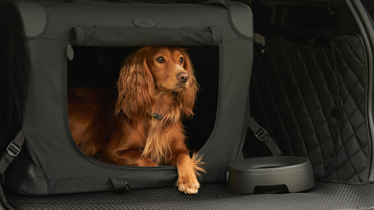 Pet Storage space in Discovery Sport
