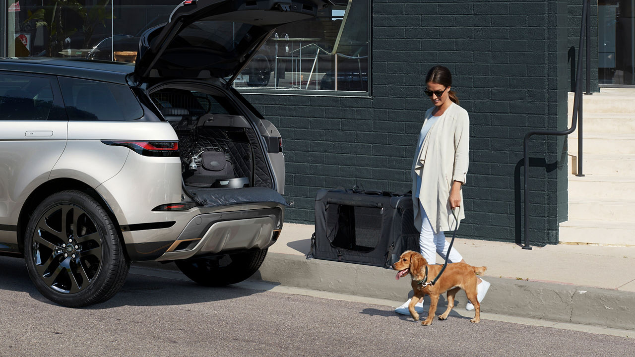 Women And A Dog Are Going On A Road Trip