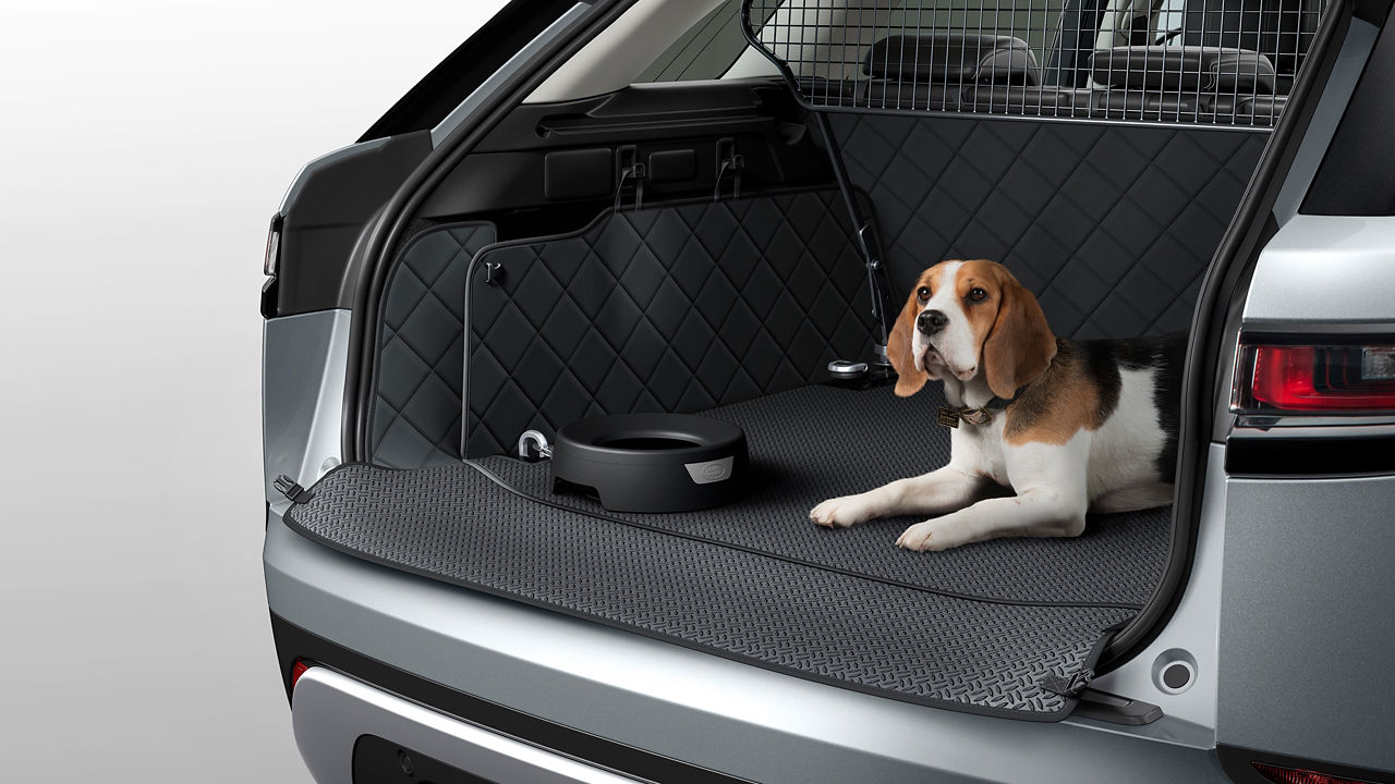 Pet Accessories Ownership Land Rover